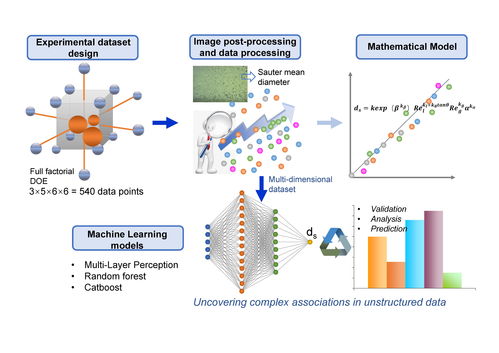 上海高研院在基于机器学习的微气泡特性表征研究方面取得重要进展
